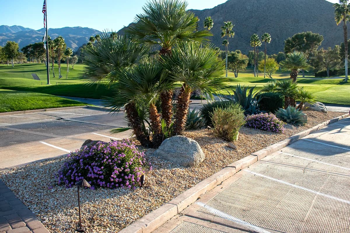 Sports Turf & Golf