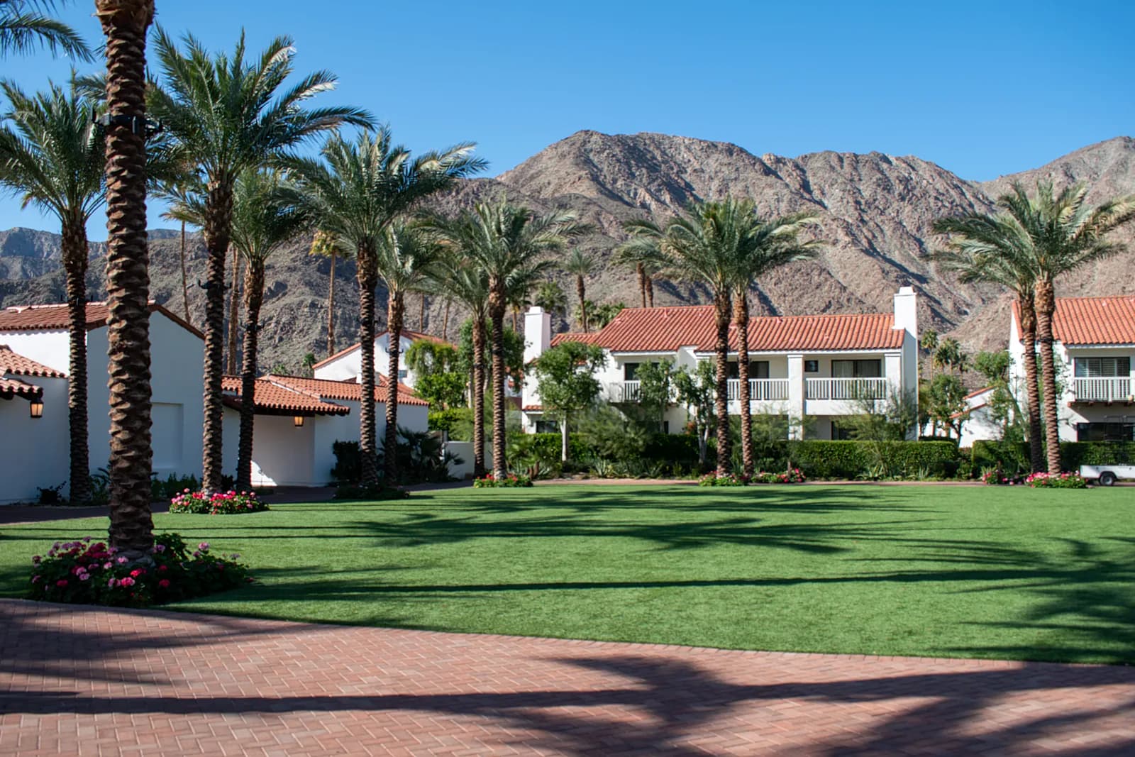 Landscape Construction