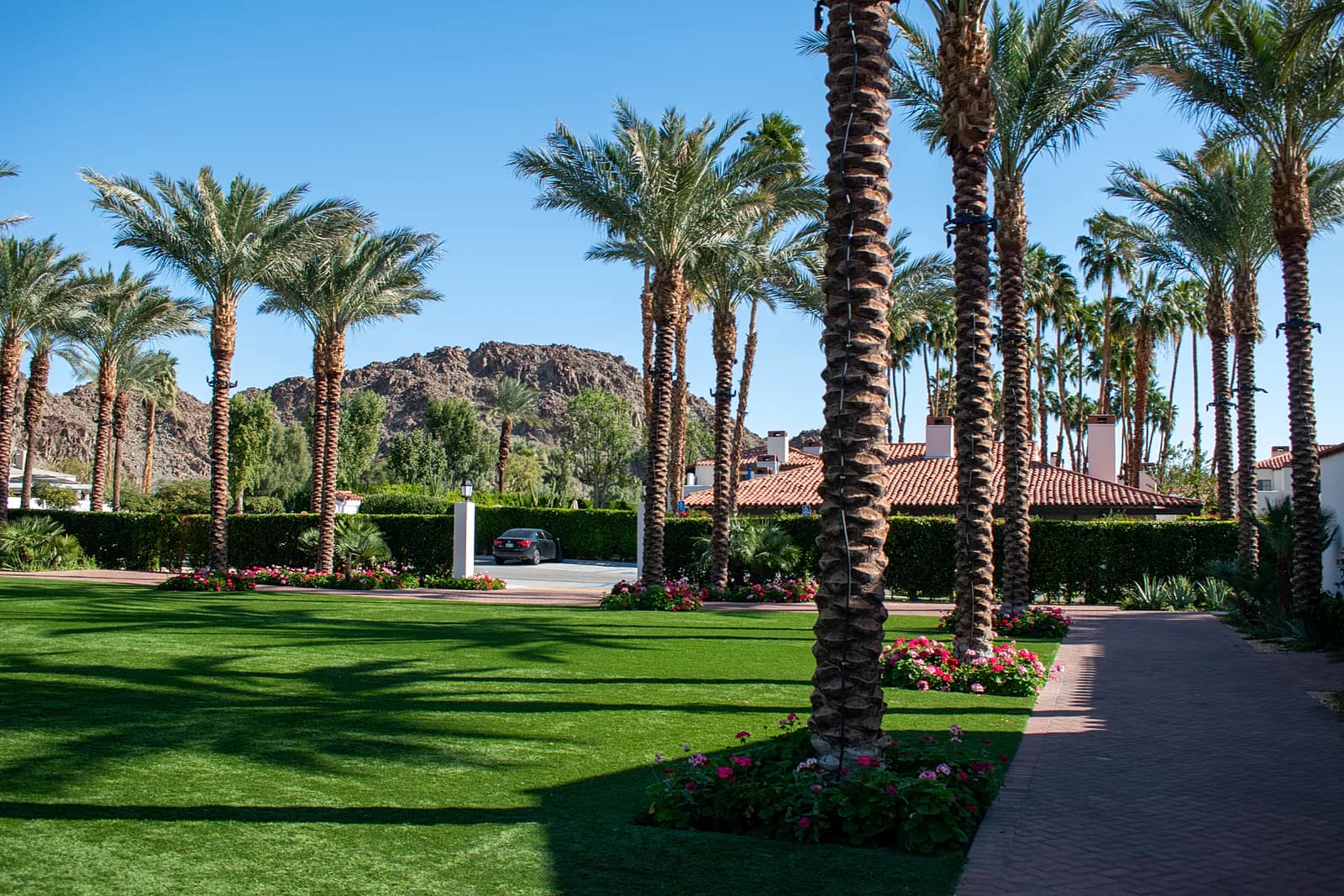 Landscape Maintenance